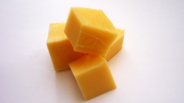 Käse-Köder Käse-Köder
